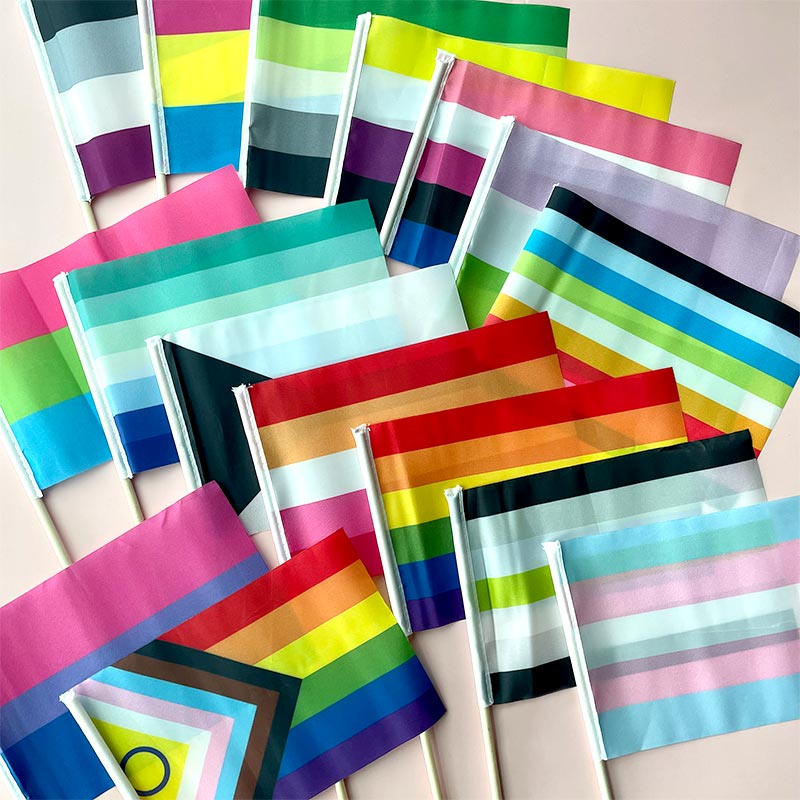 LGBTQ+ Pride Flag Party Mix Bundle Hand Flags La Vie Bien LGBTQ+ Pride Flag Party Mix Bundle