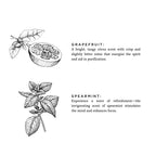 Linen Spray - Grapefruit + Spearmint Home Accessories La Vie Bien Linen Spray - Grapefruit + Spearmint