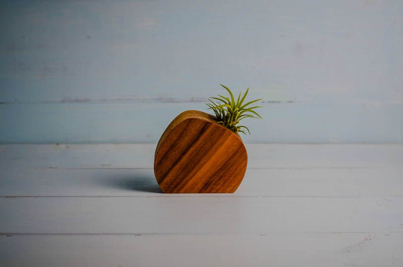 Little Air Plant Holder Home Decor La Vie Bien Little Air Plant Holder