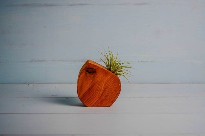 Little Air Plant Holder Home Decor La Vie Bien Little Air Plant Holder