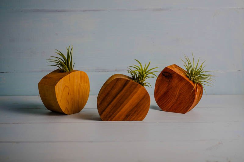 Little Air Plant Holder Home Decor La Vie Bien Little Air Plant Holder