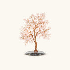Love Harmony - Rose Quartz Feng Shui Tree by Karma and Luck