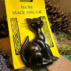 Lucky Turf Cat Gift Gifts La Vie Bien Lucky Turf Cat Gift