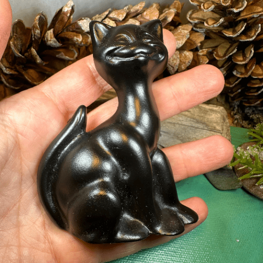 Lucky Turf Cat Gift Gifts La Vie Bien Lucky Turf Cat Gift