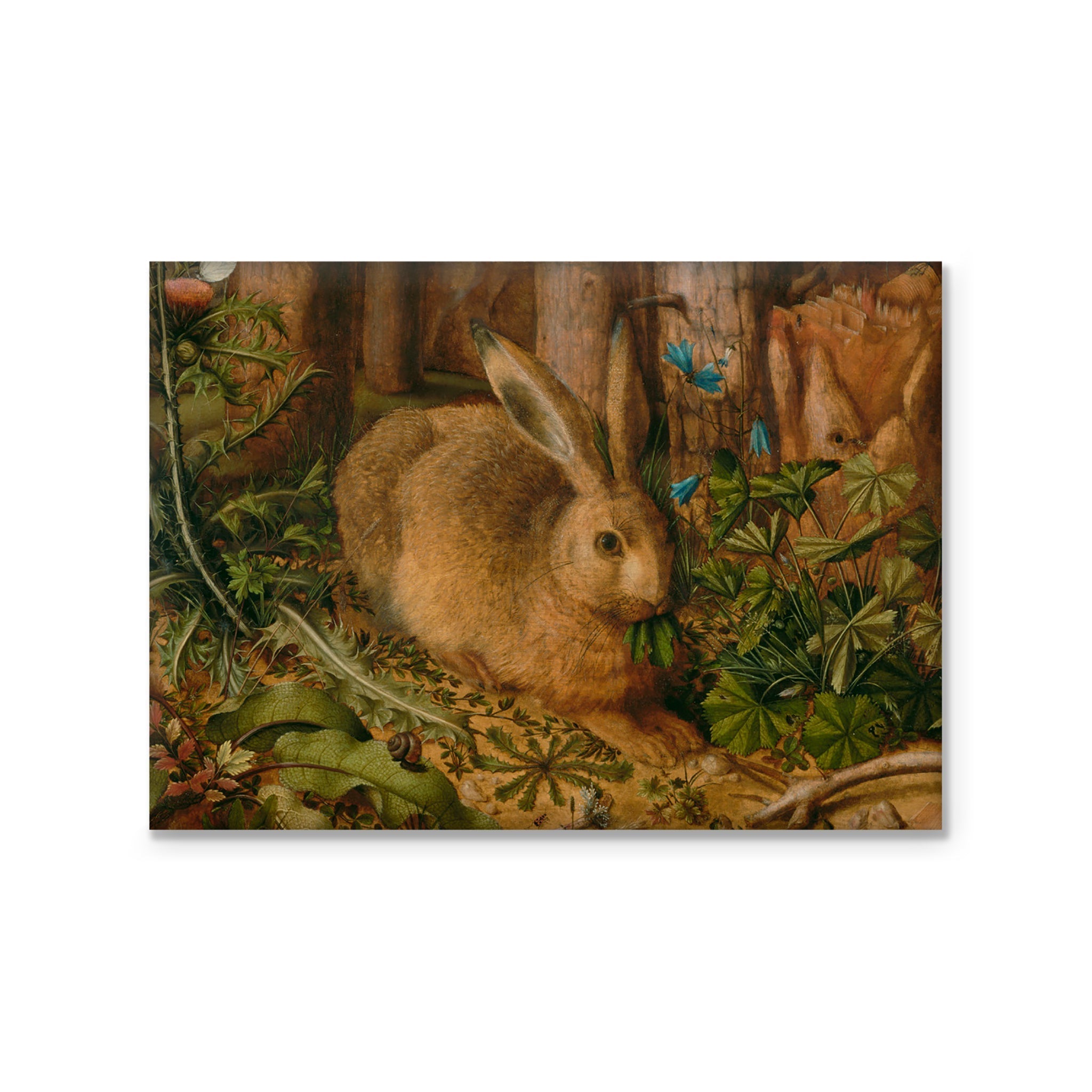 Magnet - Hoffmann's A Hare in the Forest STATIONERY La Vie Bien Magnet - Hoffmann's A Hare in the Forest