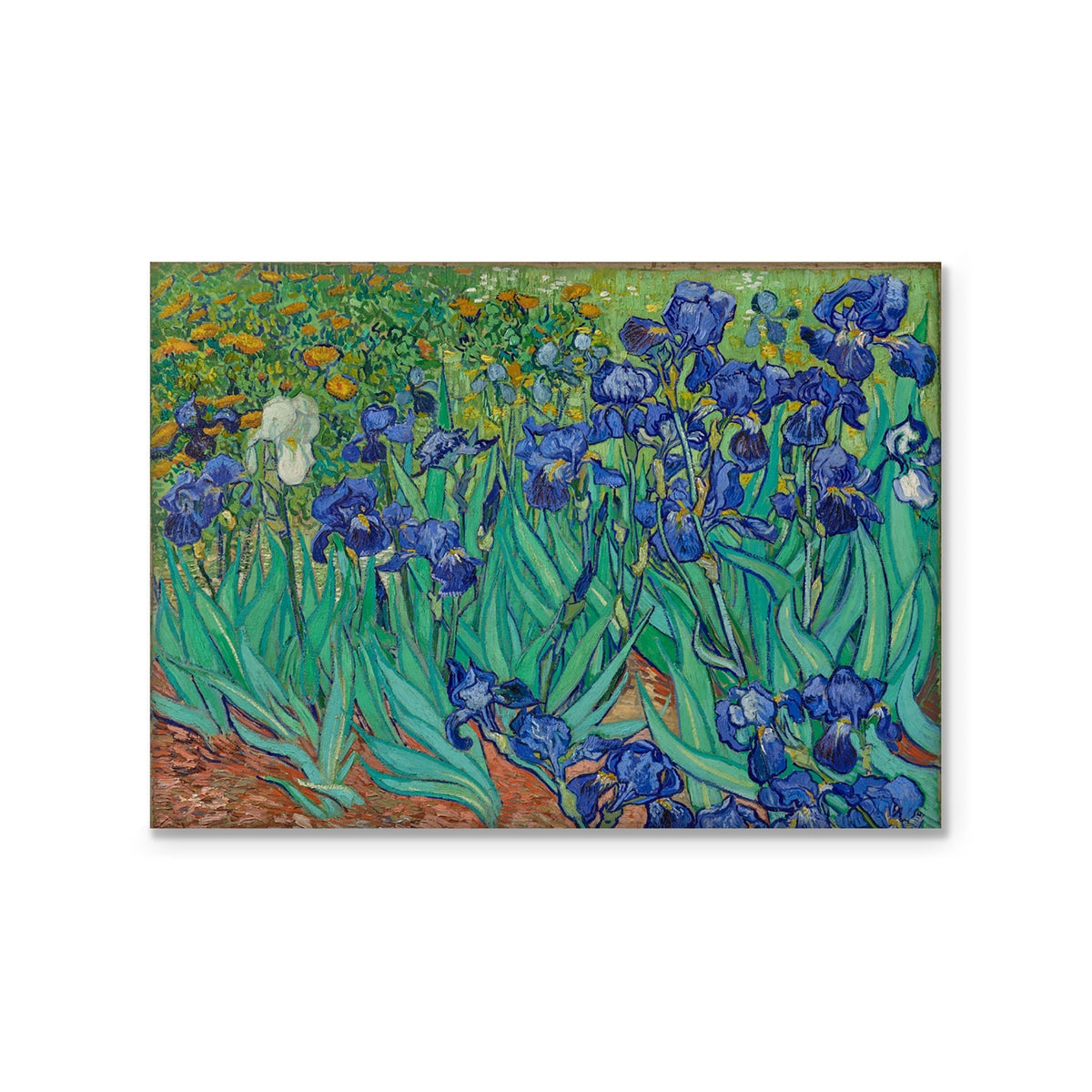 Magnet - Irises STATIONERY La Vie Bien Magnet - Irises