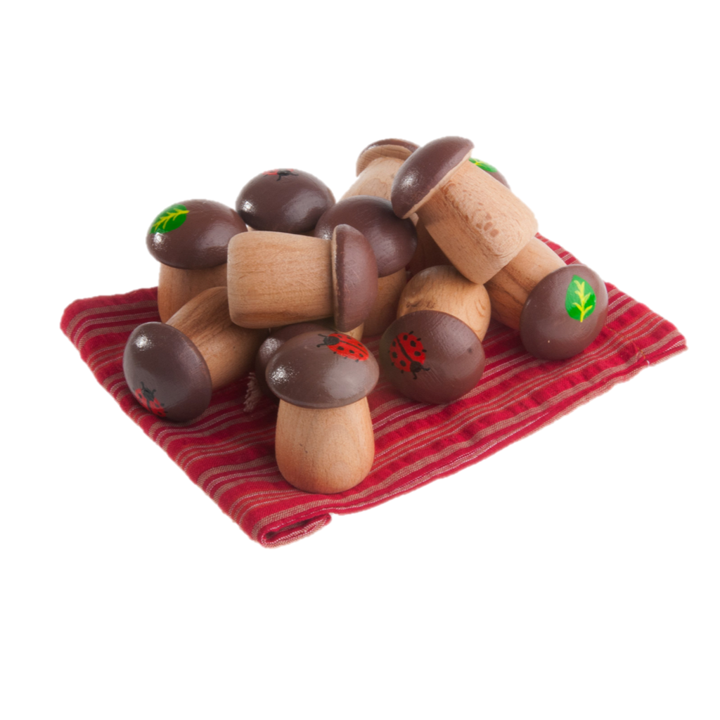 Educational Mushrooms Counters for kids math Play set of 12 in linen bag