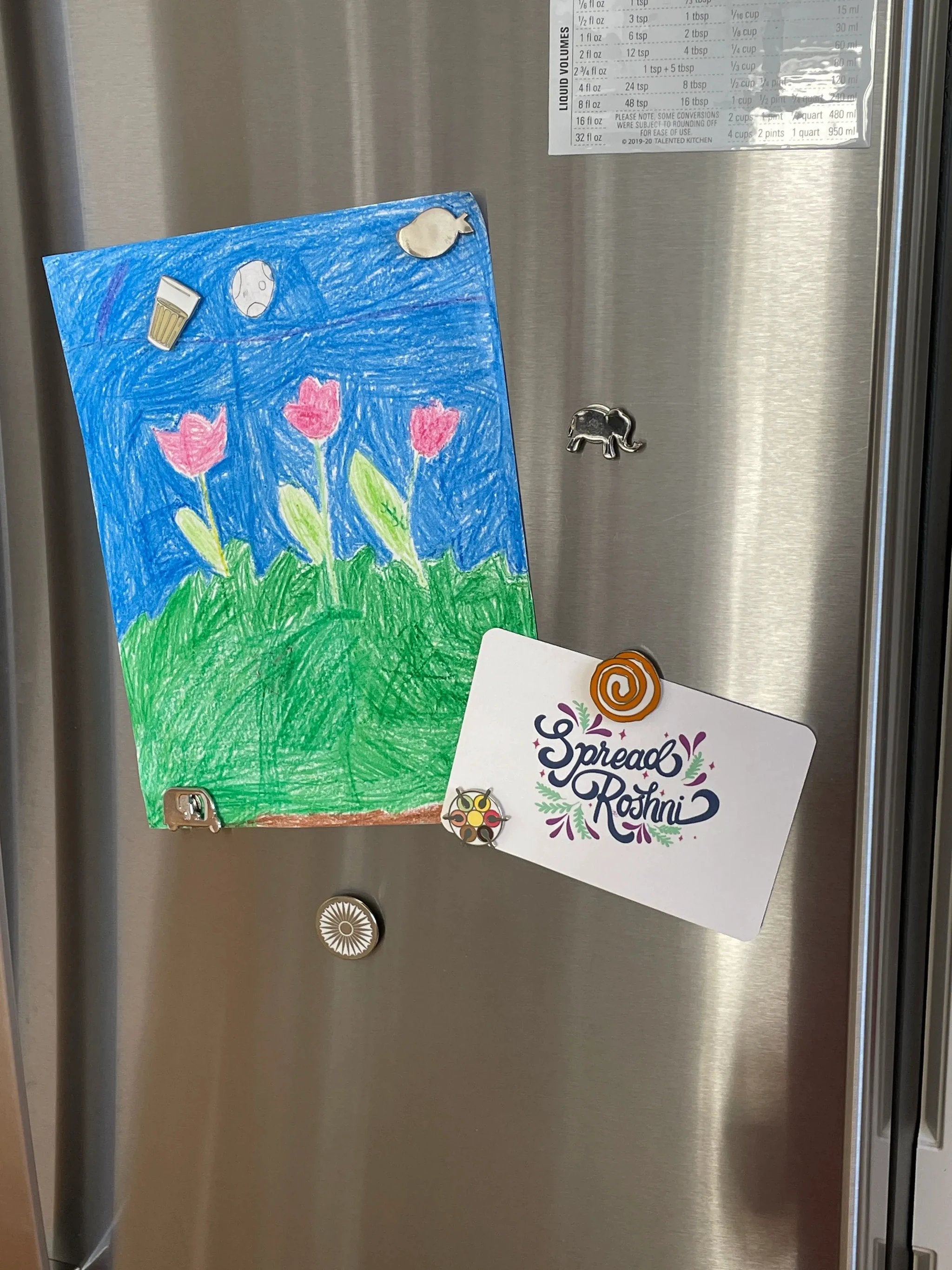 Desi Magnets by Modern Desi