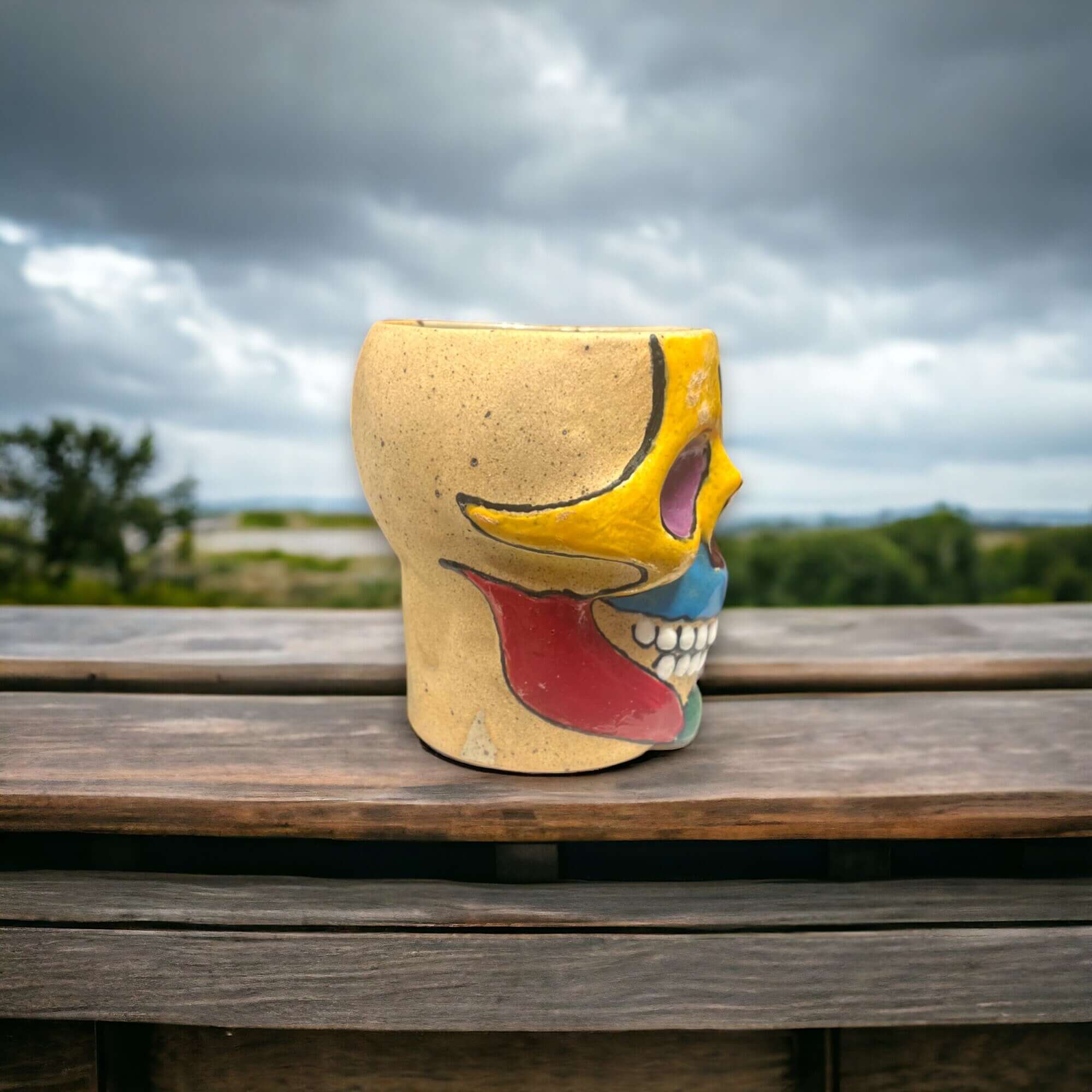 Mexican Handcrafted Skull Planter | Unique Small Flower Pot for Home Decor Mexican Planter La Vie Bien Mexican Handcrafted Skull Planter | Unique Small Flower Pot for Home Decor