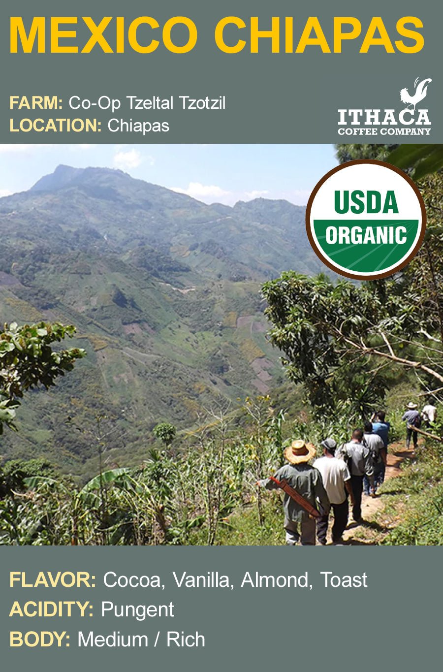 Mexico Chiapas Tzeltal Tzotzil Organic Coffee La Vie Bien Mexico Chiapas Tzeltal Tzotzil Organic