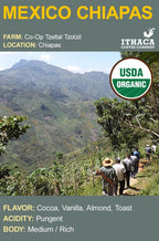 Mexico Chiapas Tzeltal Tzotzil Organic Coffee La Vie Bien Mexico Chiapas Tzeltal Tzotzil Organic