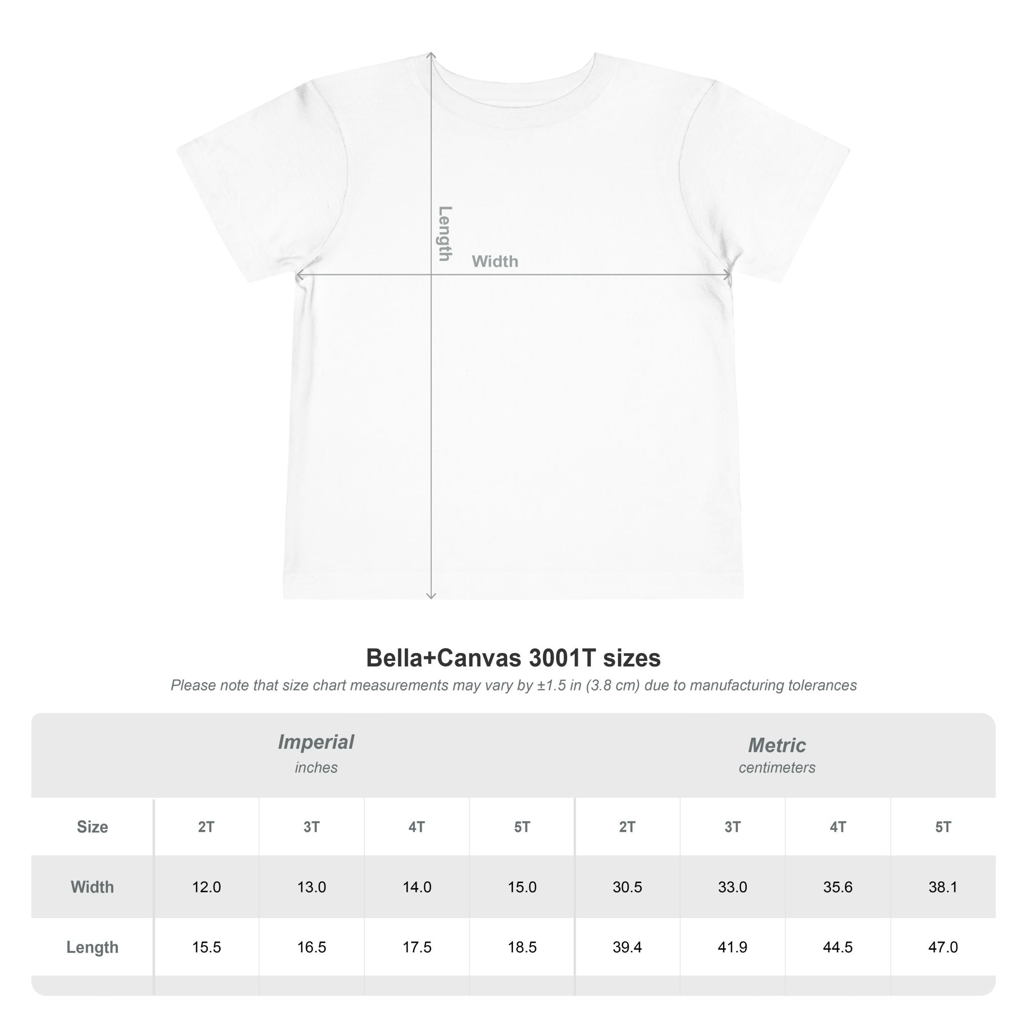Michigoosey Toddler Tee, Cute Toddler Short Sleeve Shirt Kids clothes La Vie Bien Michigoosey Toddler Tee, Cute Toddler Short Sleeve Shirt