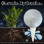 Moon Plant Watering Spike