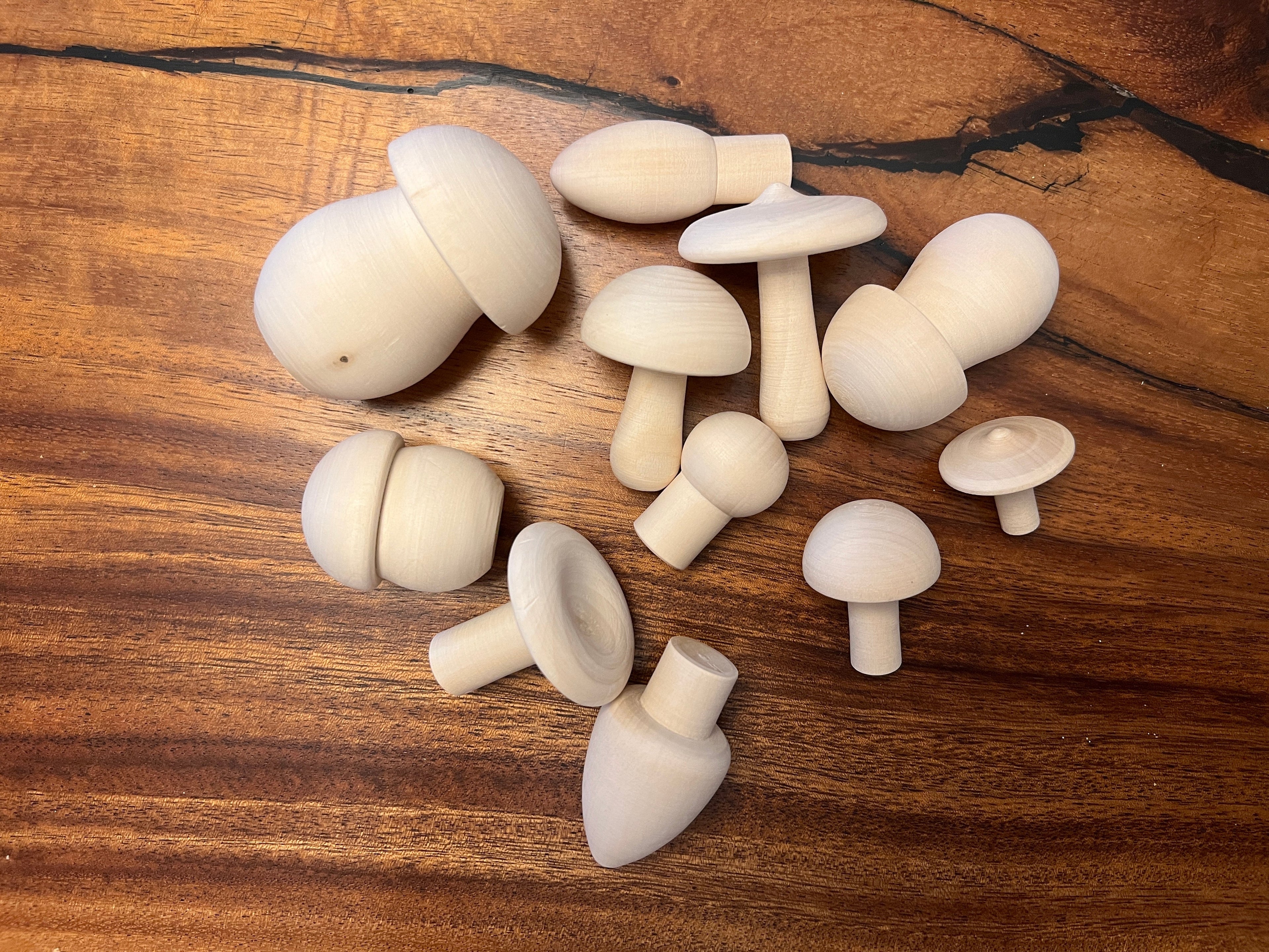 Unfinished Wooden Mushrooms Set