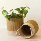 Mustard Baskets with Handle, set of 2 - Cylinder Baskets | LIKHÂ by LIKHÂ