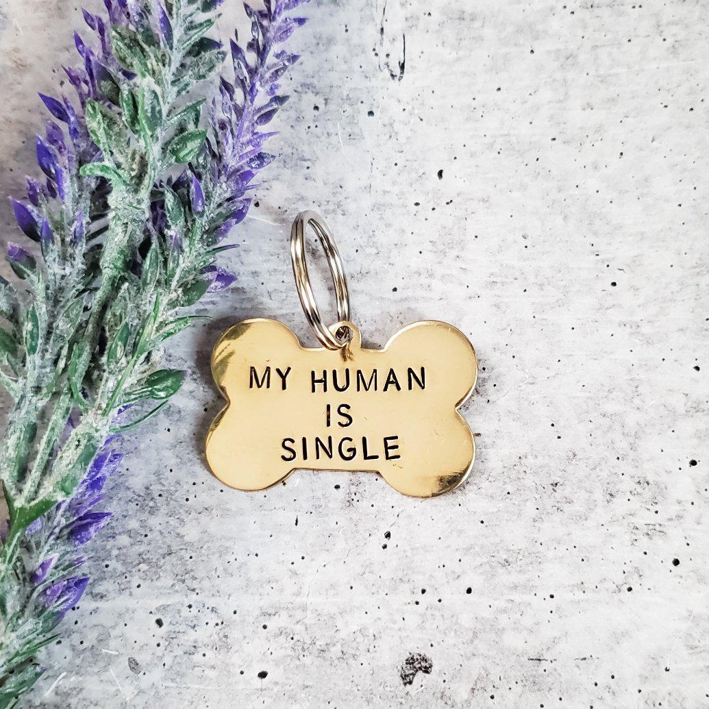 MY HUMAN IS SINGLE Bone - Shaped Pet Tag Pet Tags La Vie Bien MY HUMAN IS SINGLE Bone - Shaped Pet Tag