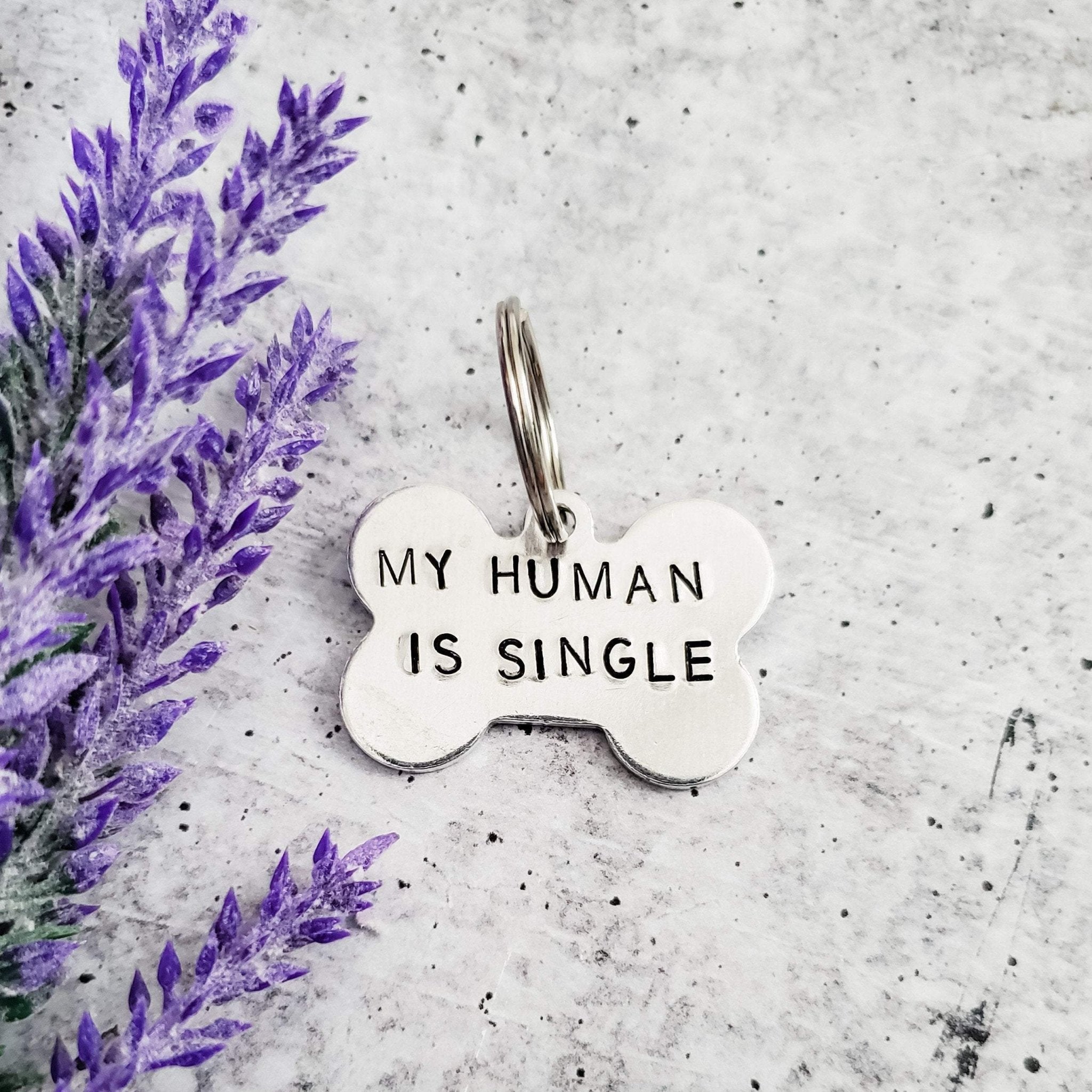MY HUMAN IS SINGLE Bone - Shaped Pet Tag Pet Tags La Vie Bien MY HUMAN IS SINGLE Bone - Shaped Pet Tag