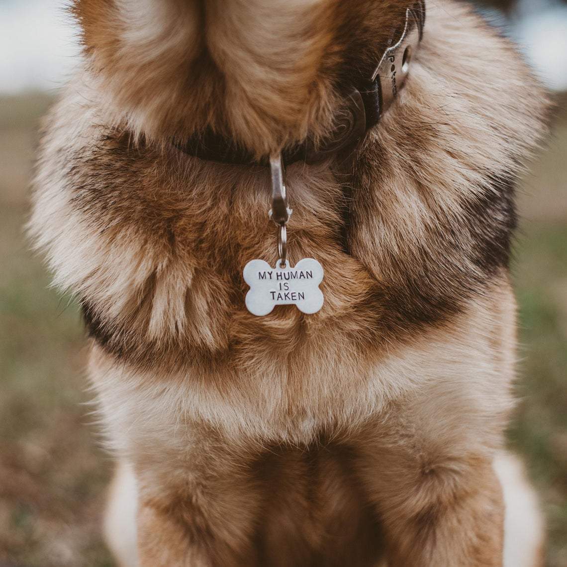 MY HUMAN IS TAKEN Bone - Shaped Pet Tag Pet Tags La Vie Bien MY HUMAN IS TAKEN Bone - Shaped Pet Tag