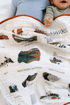 National Parks II Quilts La Vie Bien National Parks II