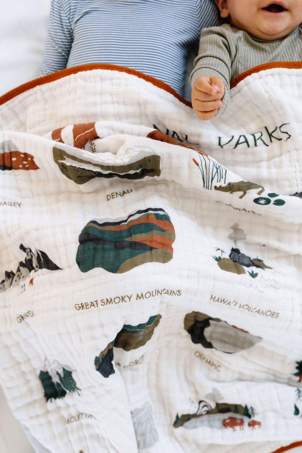 National Parks II Quilts La Vie Bien National Parks II