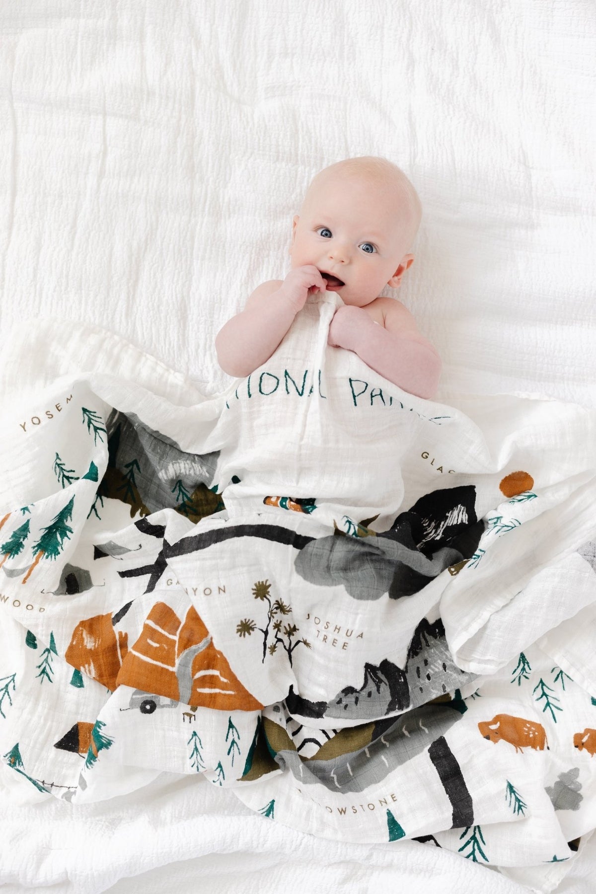 National Parks Swaddle Swaddles La Vie Bien National Parks Swaddle