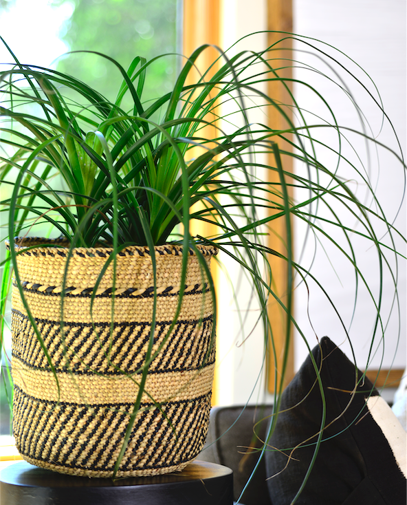 Natural African Iringa woven basket with Black Stripe La Vie Bien Natural African Iringa woven basket with Black Stripe