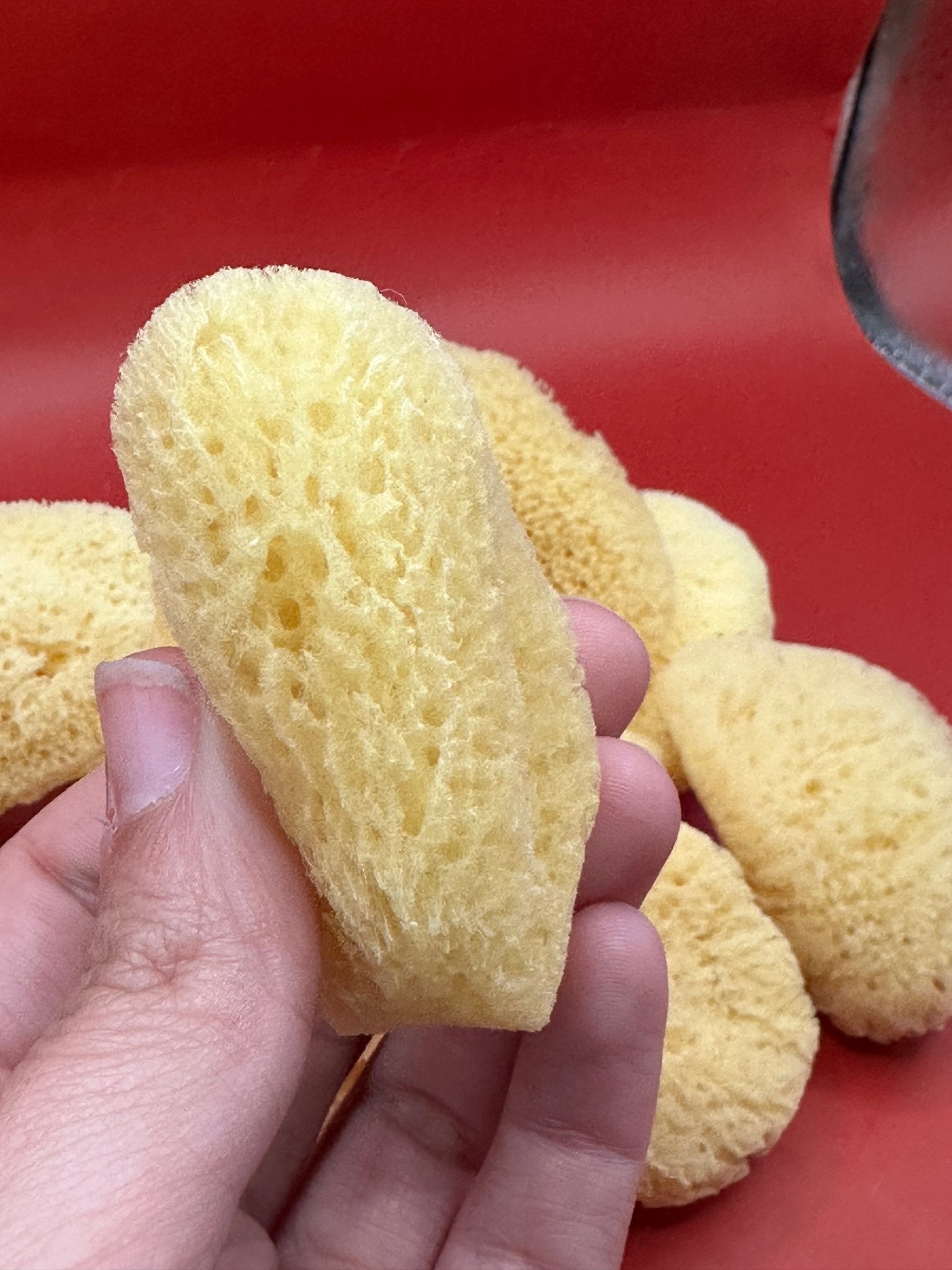 Natural Cosmetic Sea Sponge – 2–2.5" La Vie Bien Natural Cosmetic Sea Sponge – 2–2.5"