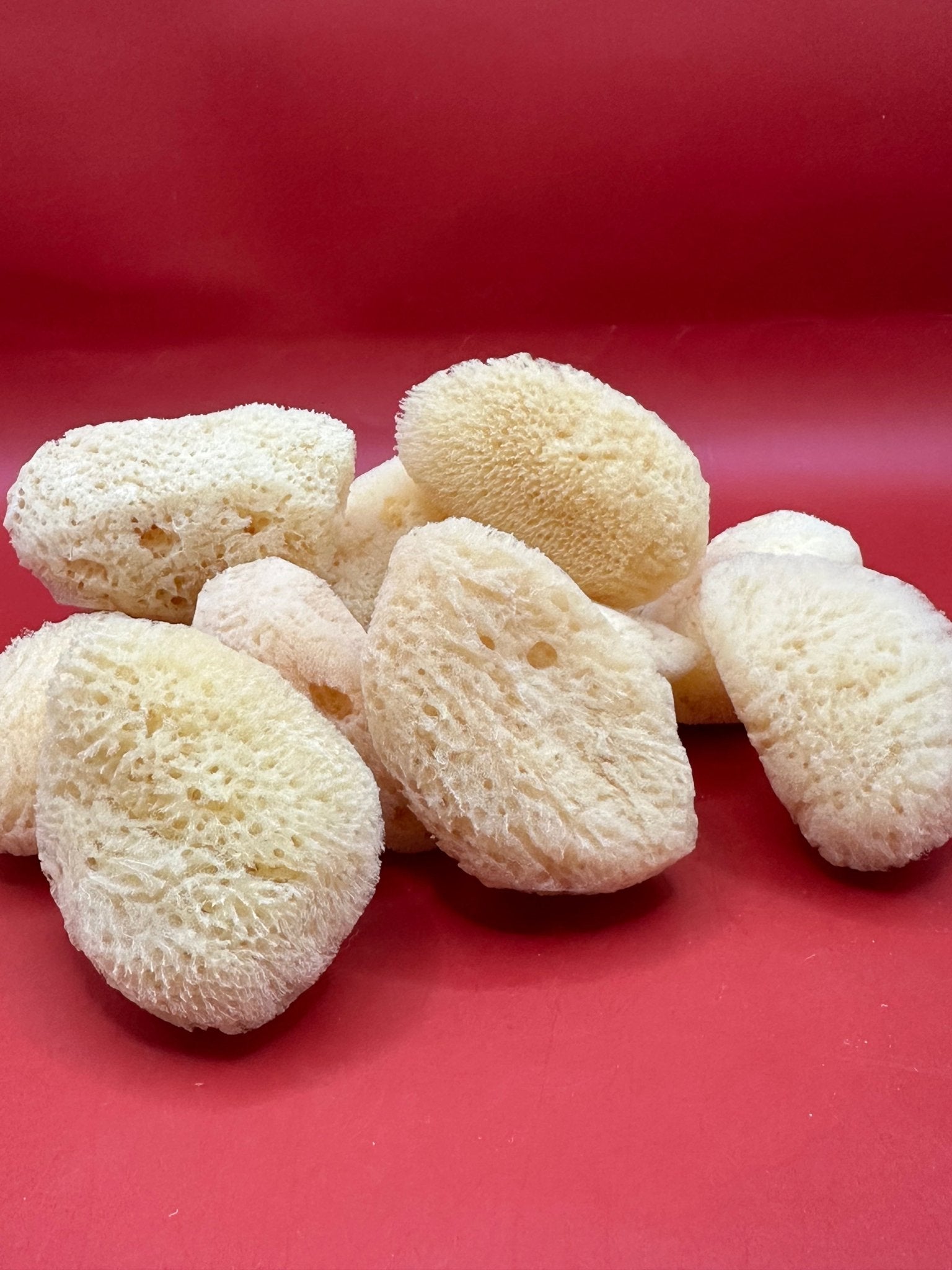 Natural Cosmetic Sea Sponge – 2–2.5" La Vie Bien Natural Cosmetic Sea Sponge – 2–2.5"