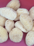 Natural Cosmetic Sea Sponge – 2–2.5" La Vie Bien Natural Cosmetic Sea Sponge – 2–2.5"