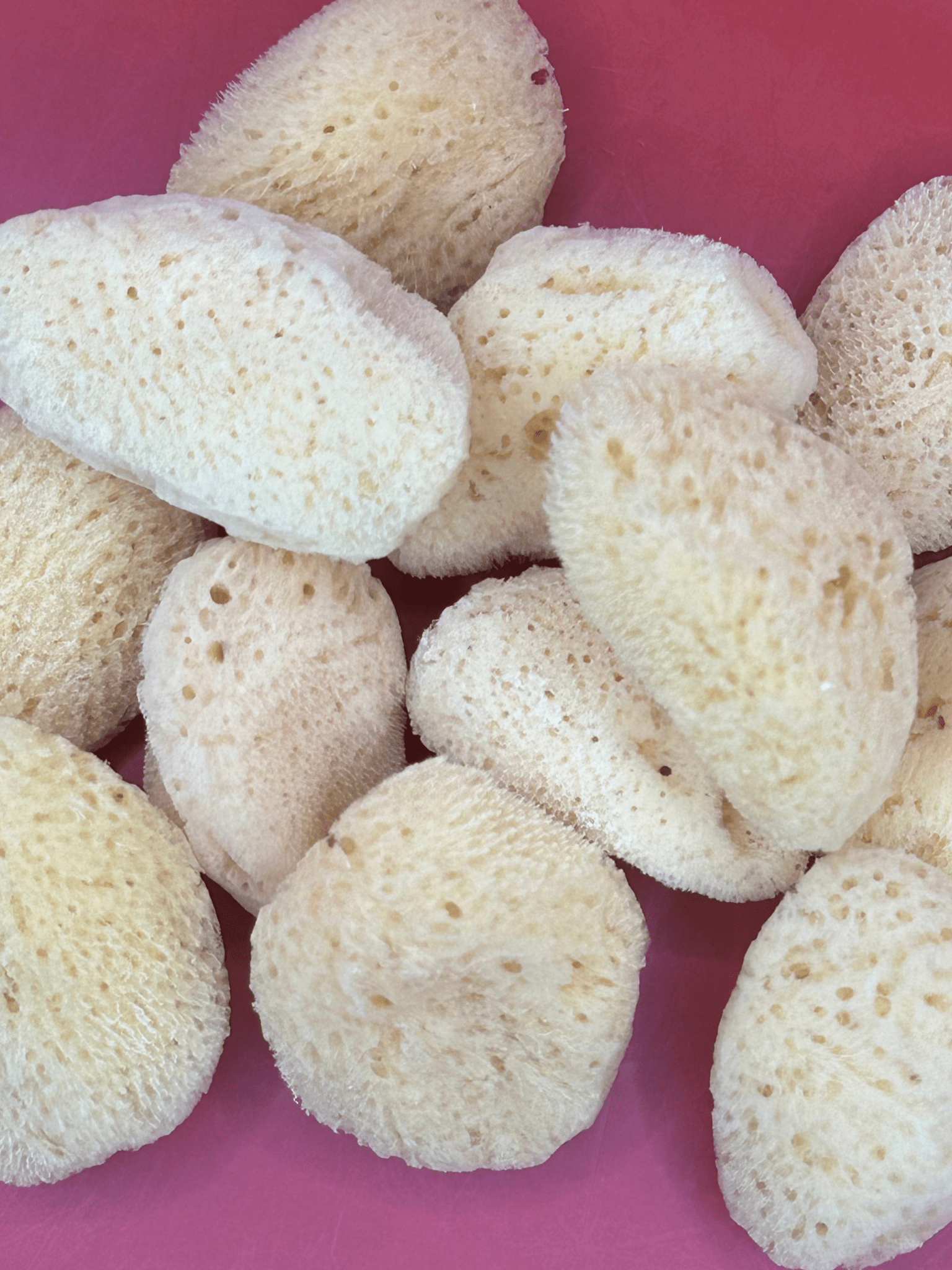 Natural Cosmetic Sea Sponge – 2–2.5" La Vie Bien Natural Cosmetic Sea Sponge – 2–2.5"