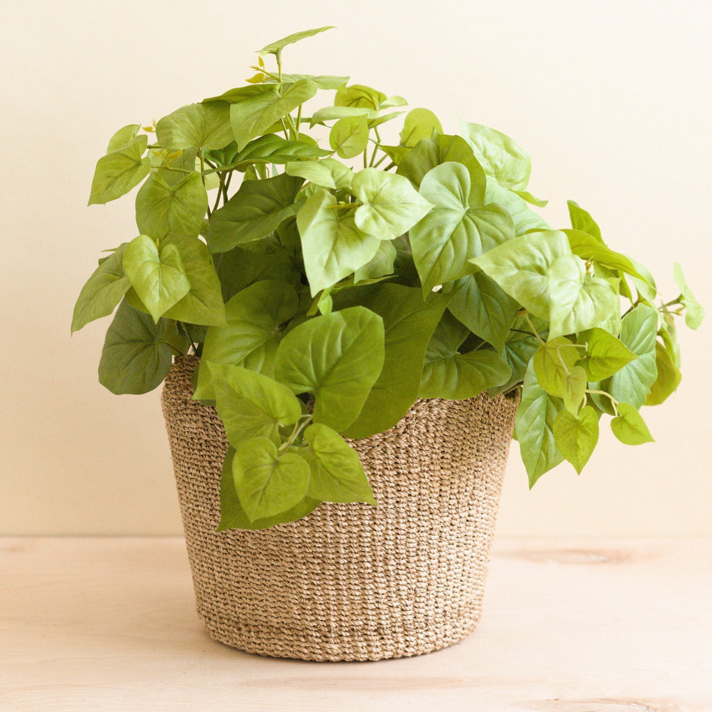 Natural Scallop Basket - Planter Basket | LIKHÂ Baskets La Vie Bien Natural Scallop Basket - Planter Basket | LIKHÂ