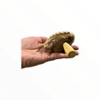 Natural wooden frog by Music Frog Co