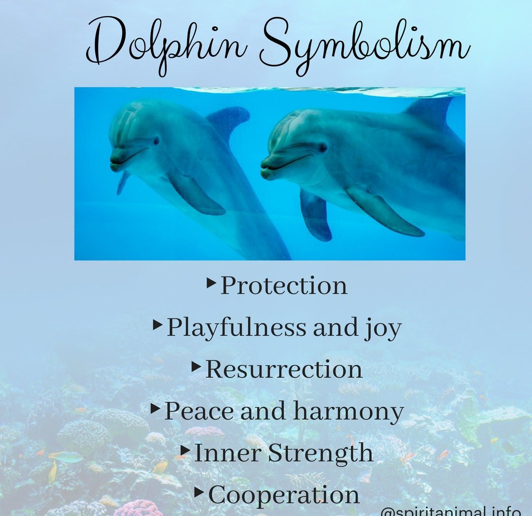 Nehalennia Celtic Dolphin Brooch for Women Brooch La Vie Bien Nehalennia Celtic Dolphin Brooch for Women
