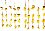 Net, Pom Pom & Gota Lari, Set of 10 Festive Decor La Vie Bien Net, Pom Pom & Gota Lari, Set of 10
