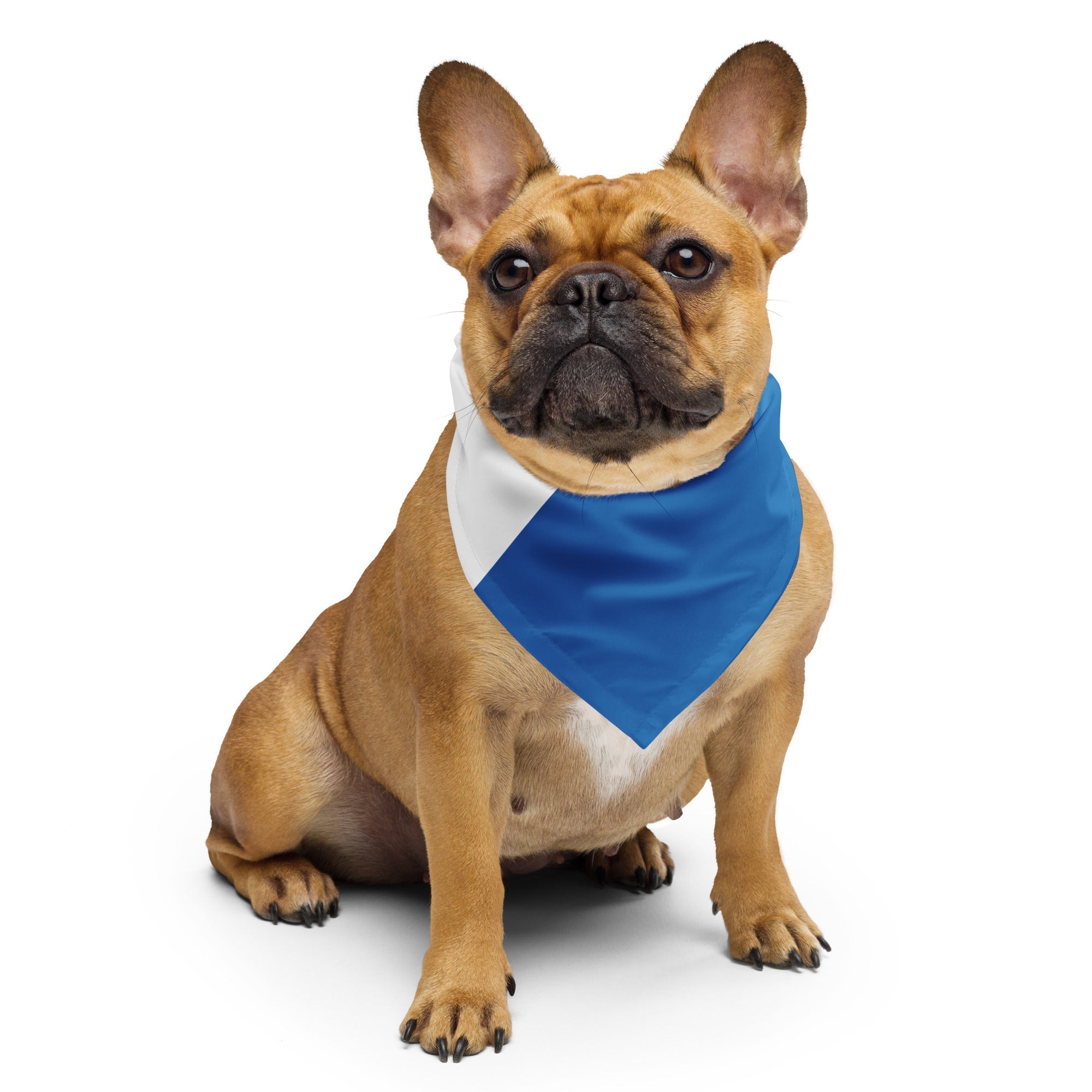 Nicaragua Flag Bandana All-Over Print Bandana La Vie Bien Nicaragua Flag Bandana