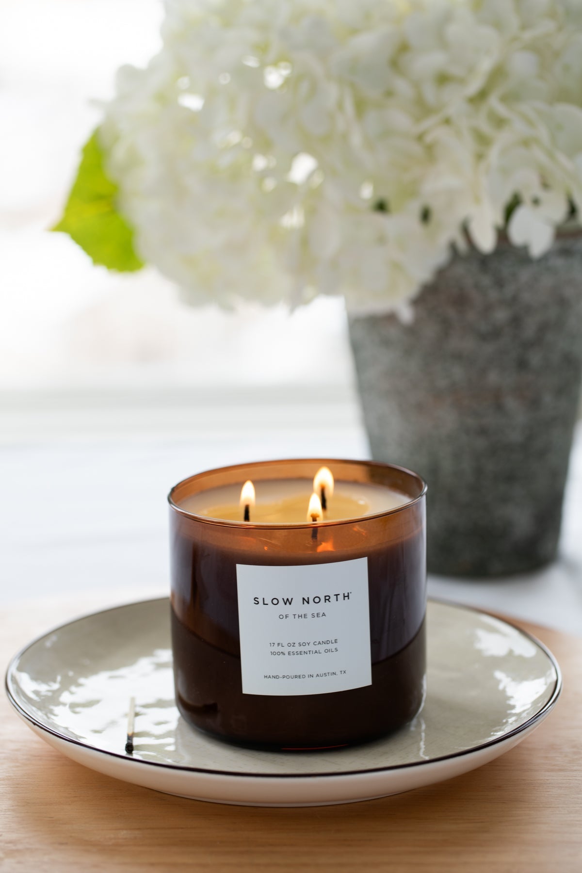 Of The Sea (Eucalyptus + Lavender + Peppermint) - Signature 3 - Wick Candle Signature 3 - Wick Candle La Vie Bien Of The Sea (Eucalyptus + Lavender + Peppermint) - Signature 3 - Wick Candle