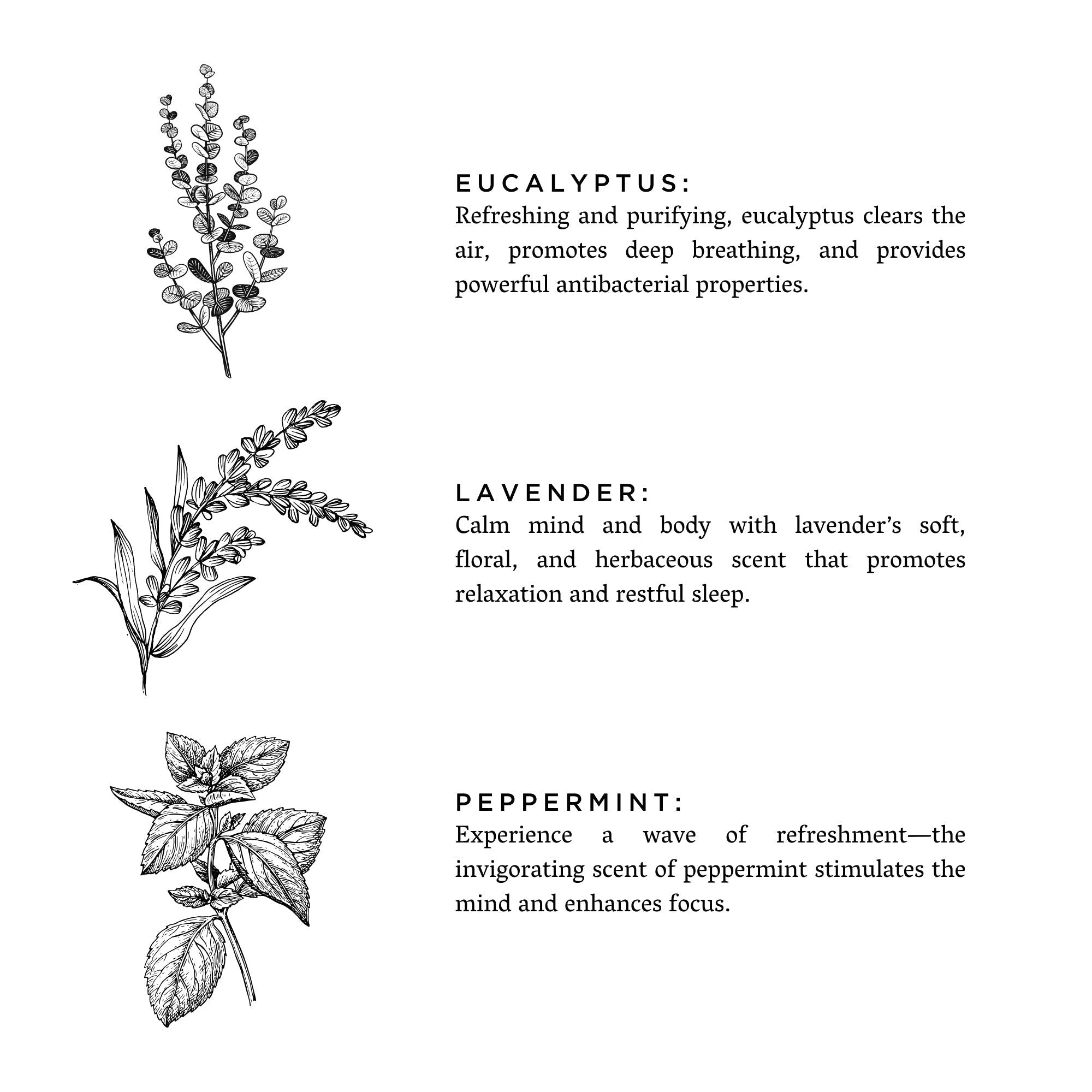 Of The Sea - Eucalyptus + Lavender + Peppermint by Slow North