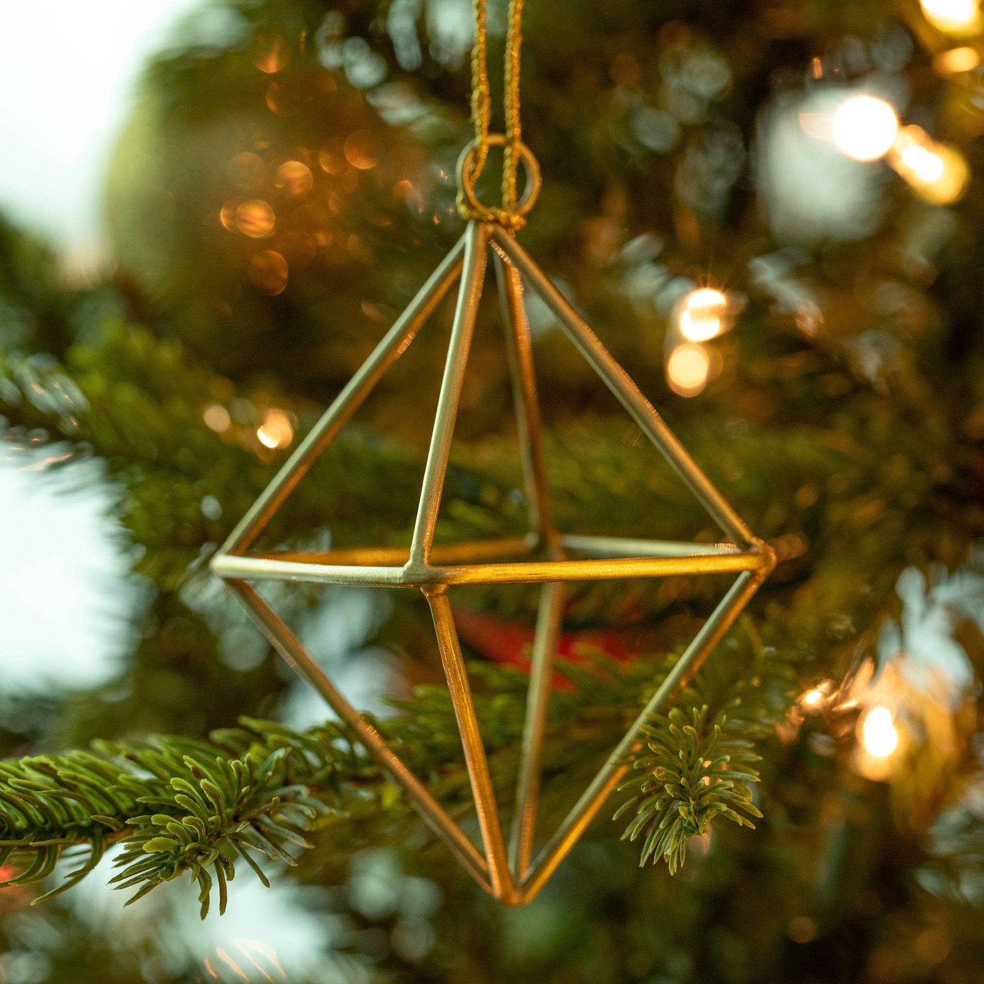 Open Air Diamond Terrarium Ornament Other Ornament La Vie Bien Open Air Diamond Terrarium Ornament