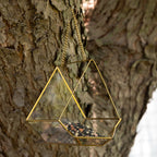 Open Air Glass Bird House Backyard Habitat La Vie Bien Open Air Glass Bird House