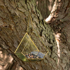 Open Air Glass Bird House Backyard Habitat La Vie Bien Open Air Glass Bird House