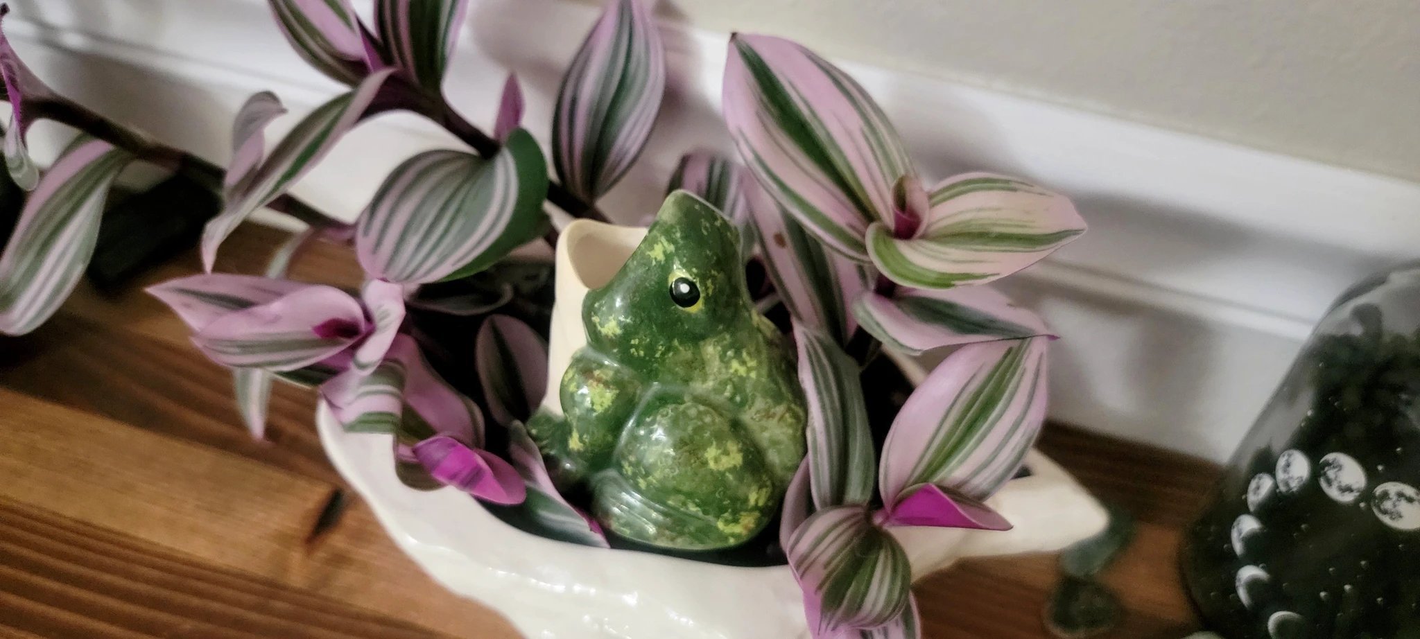 Open - Mouth Frog Plant Watering Spike
