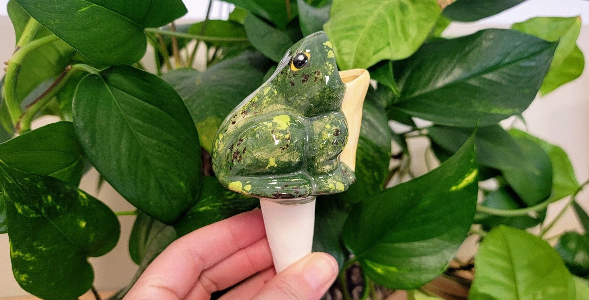 Open - Mouth Frog Plant Watering Spike