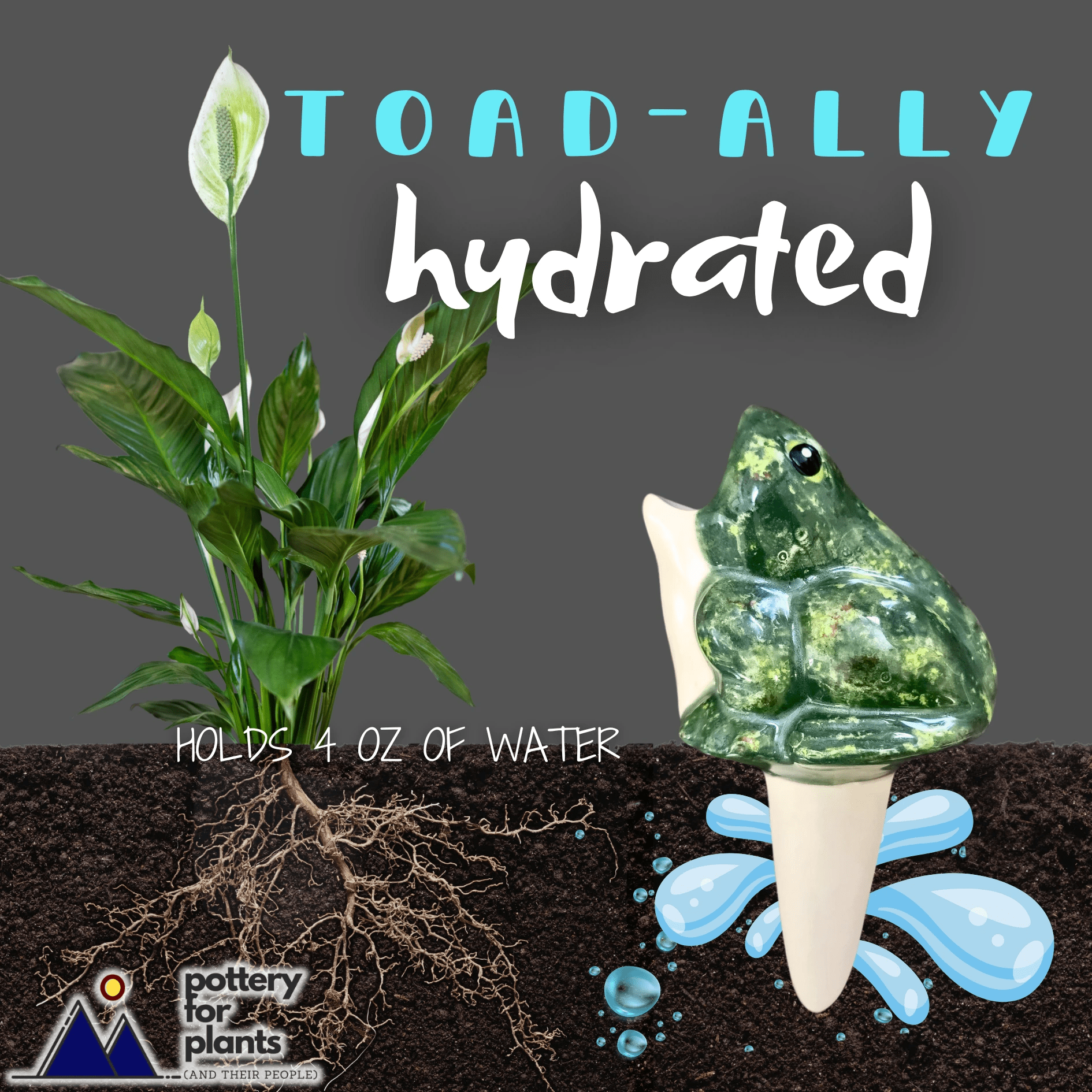 Open - Mouth Frog Plant Watering Spike