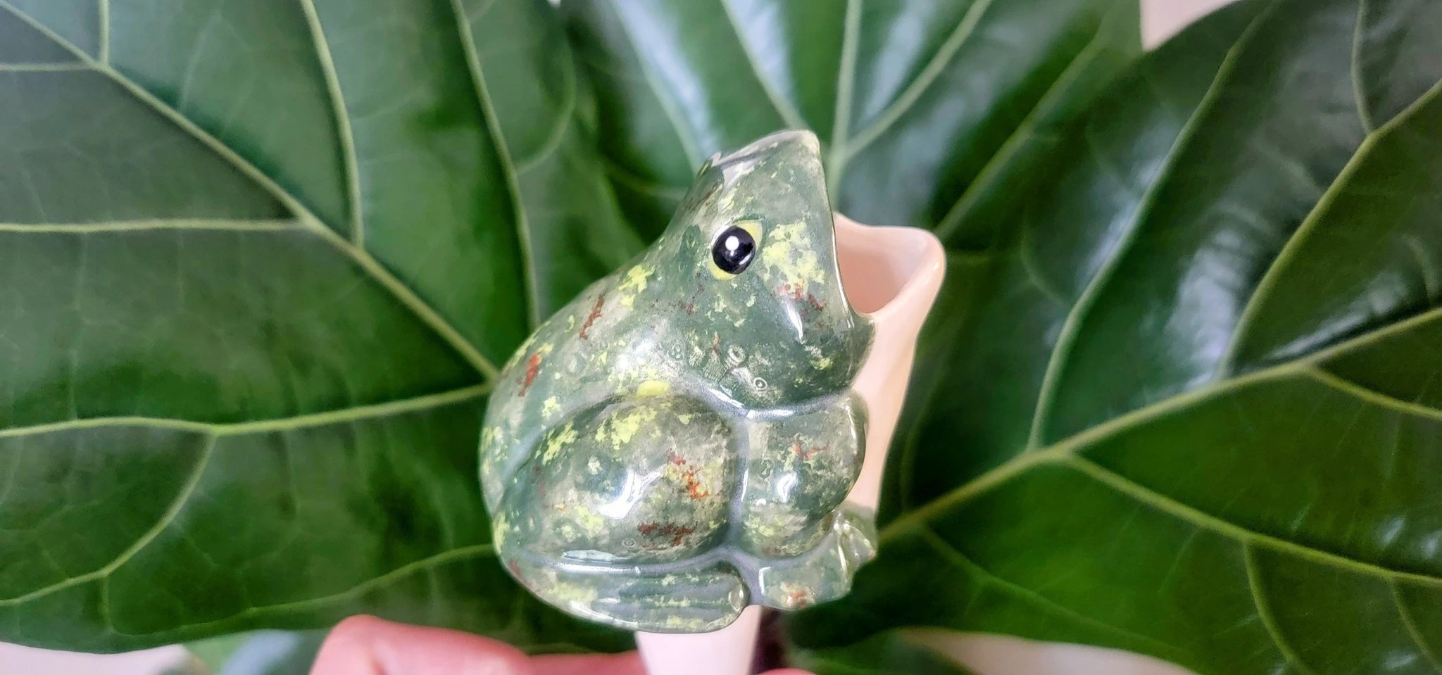 Open - Mouth Frog Plant Watering Spike