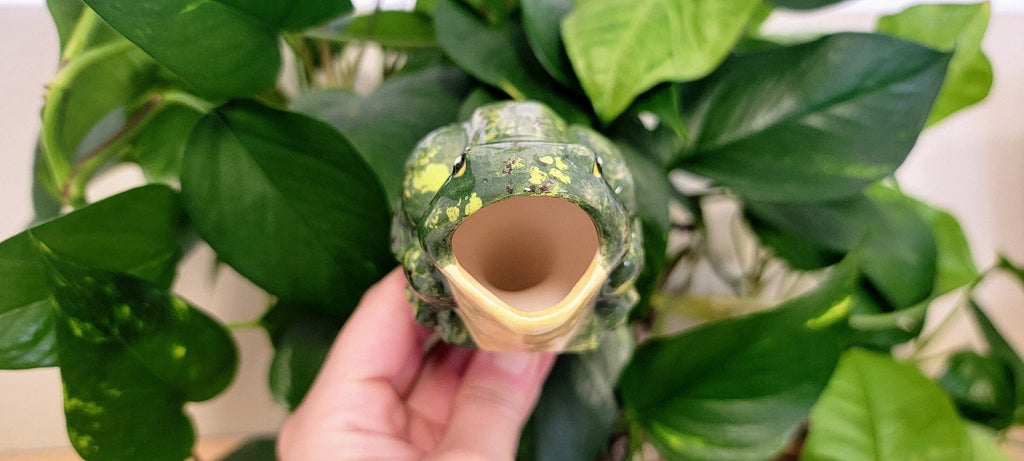Open - Mouth Frog Plant Watering Spike