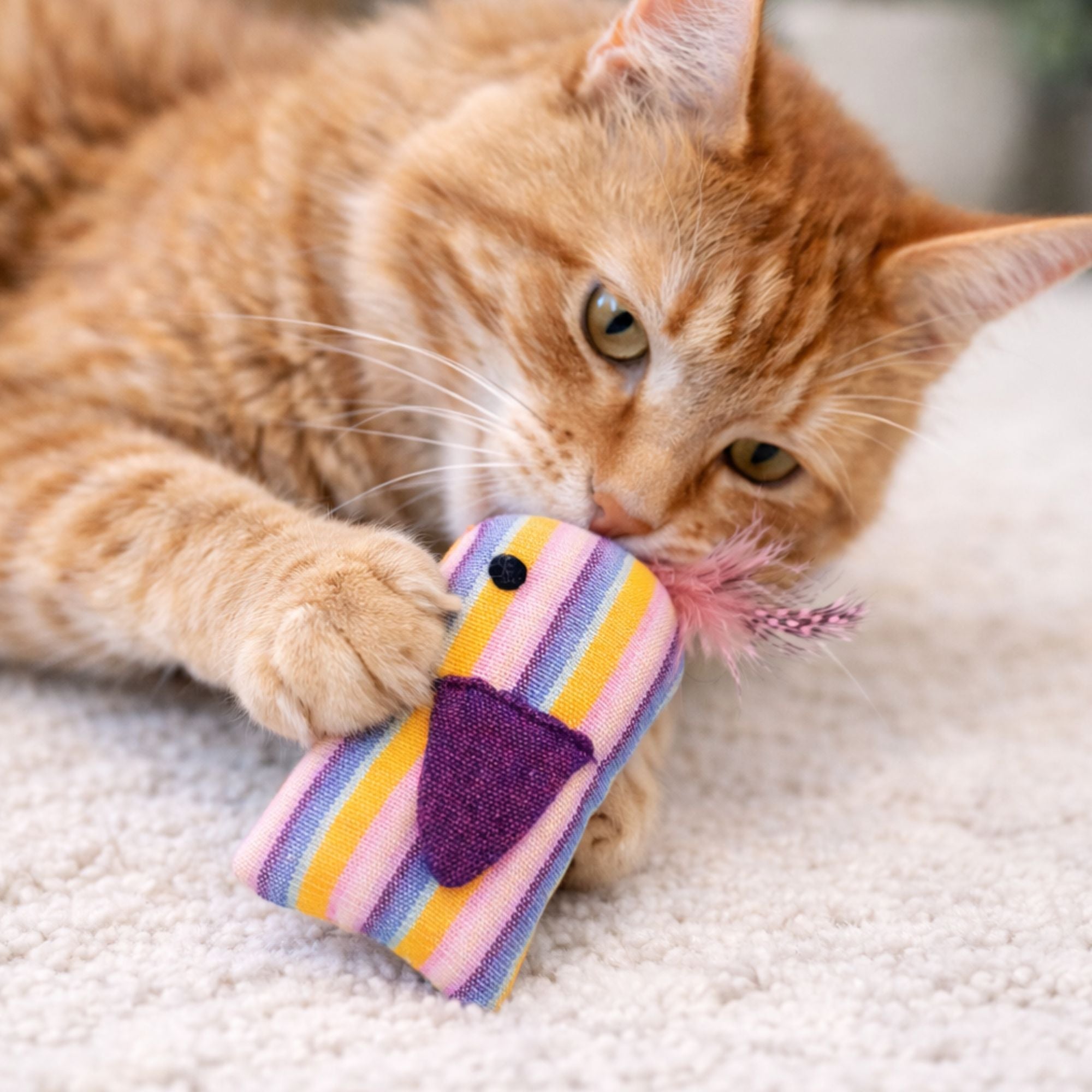 Organic Catnip Birdie Cat Toy Pet La Vie Bien Organic Catnip Birdie Cat Toy