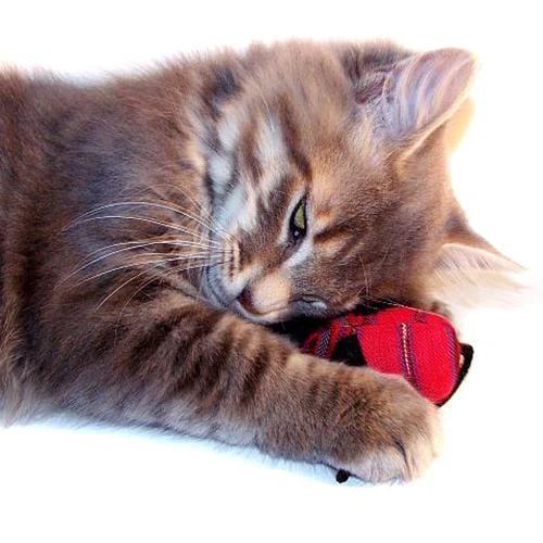 Organic Catnip Mice by Upavim Crafts