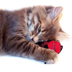 Organic Catnip Mice by Upavim Crafts