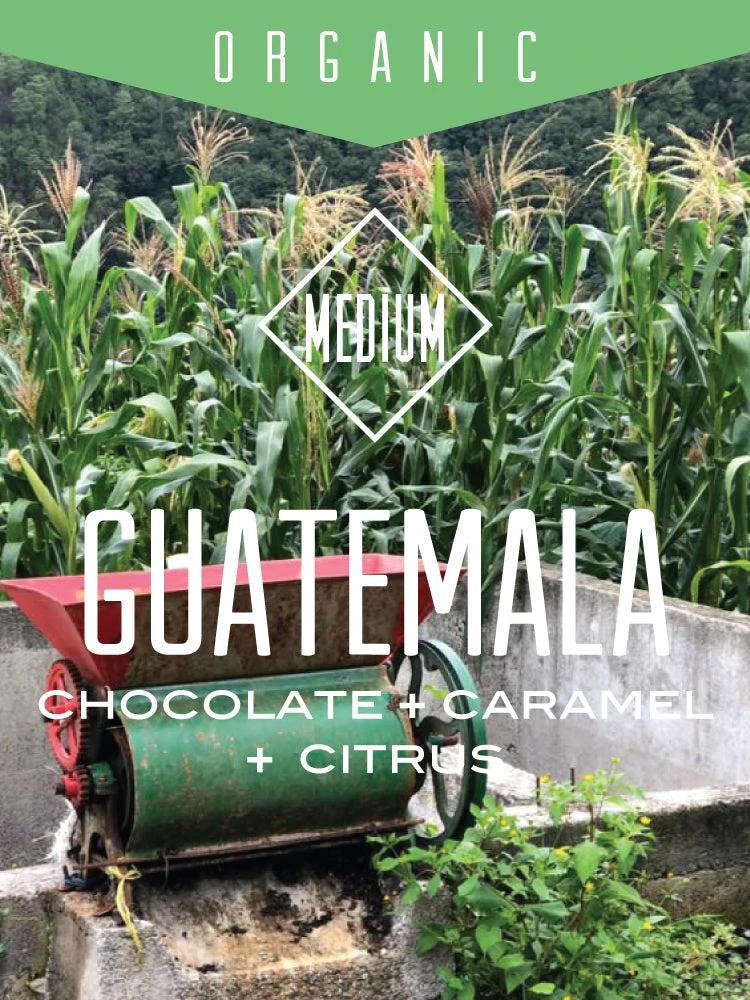 Organic Guatemala Huehuetenango by Centri Coffee