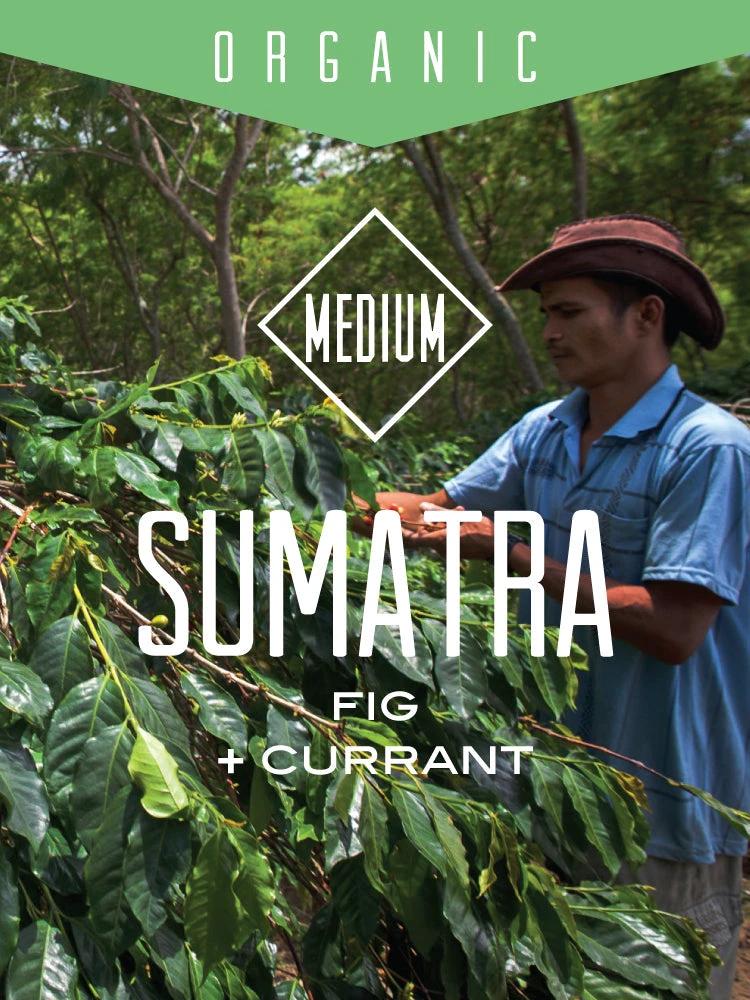 Organic Sumatra Bener Meriah Mandiri by Centri Coffee